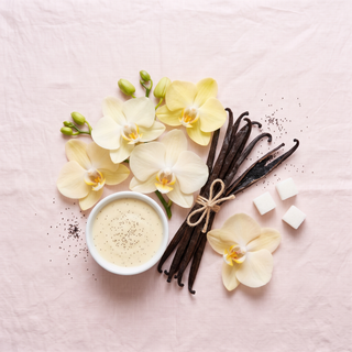 Vanilla orchids, vanilla pods and vanilla custard