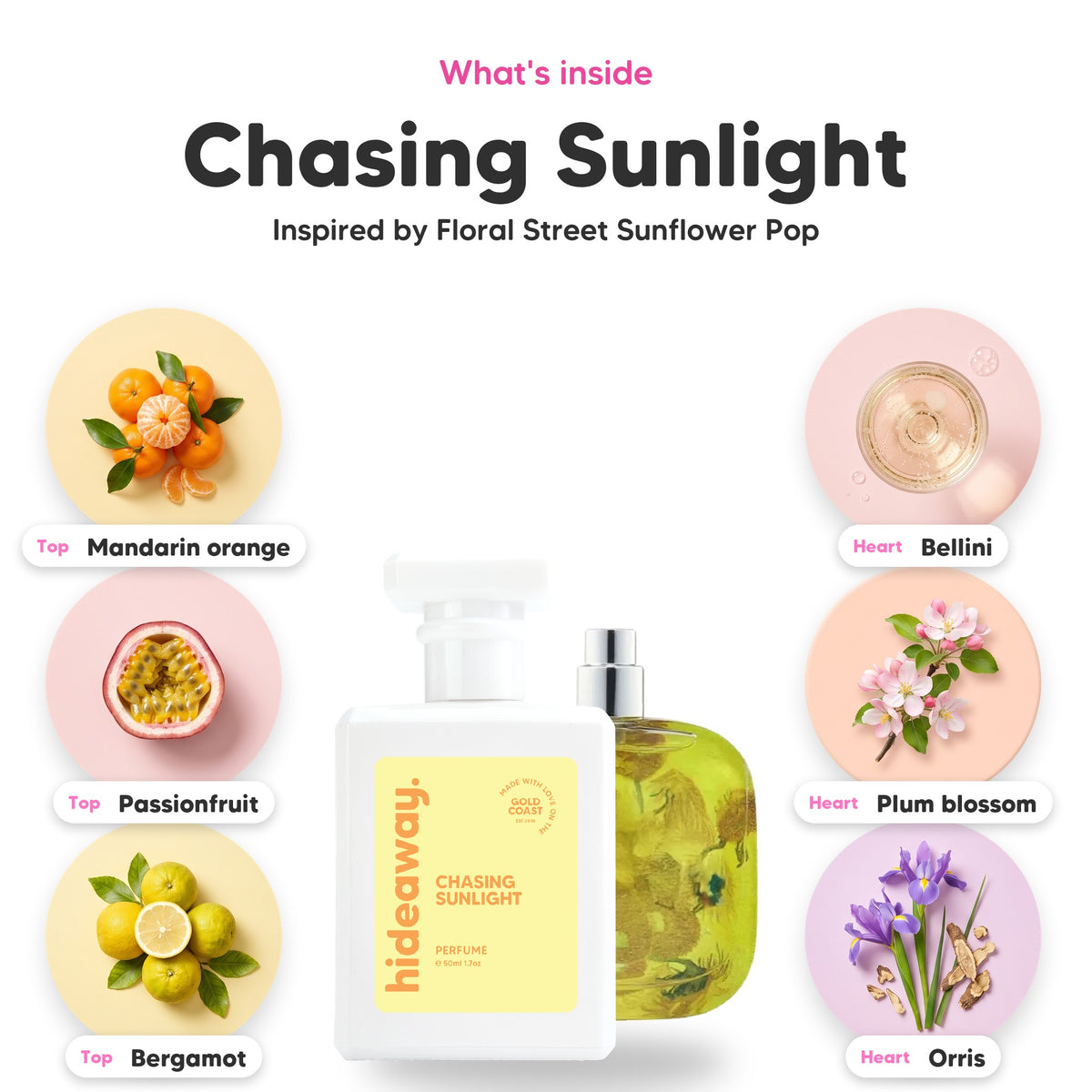 Notes inside Chasing Sunlight: Mandarin orange, passionfruit, bergamot, bellini, plum blossom, orris