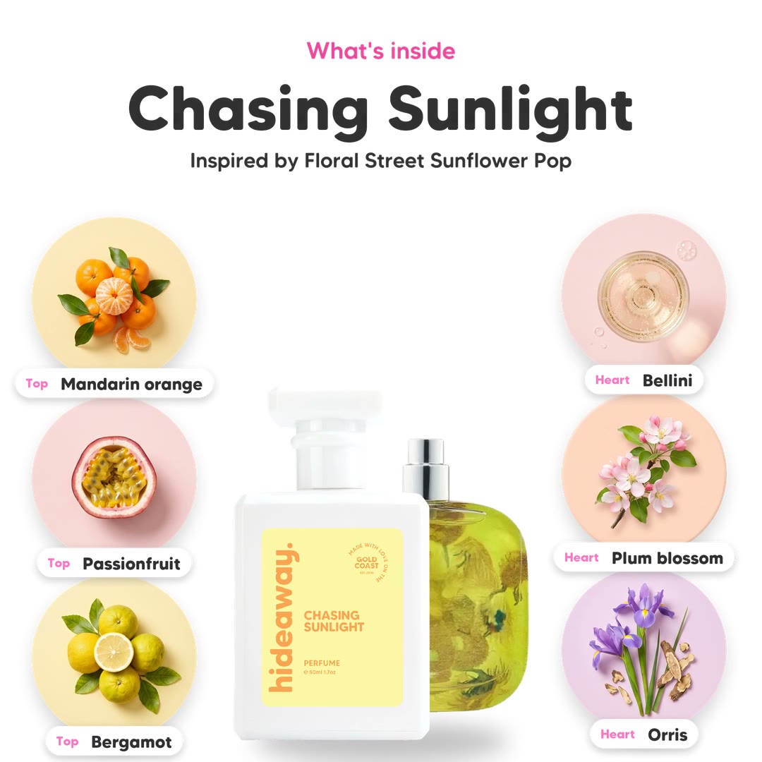 The notes in Chasing Sunlight, animated